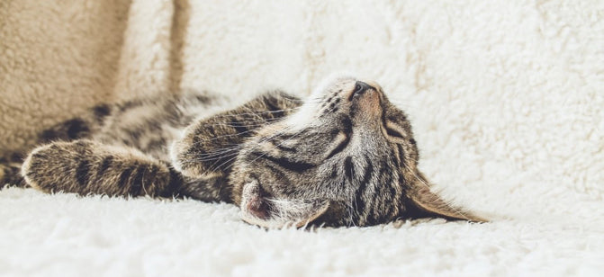 Quelle est la position idéale pour bien dormir?